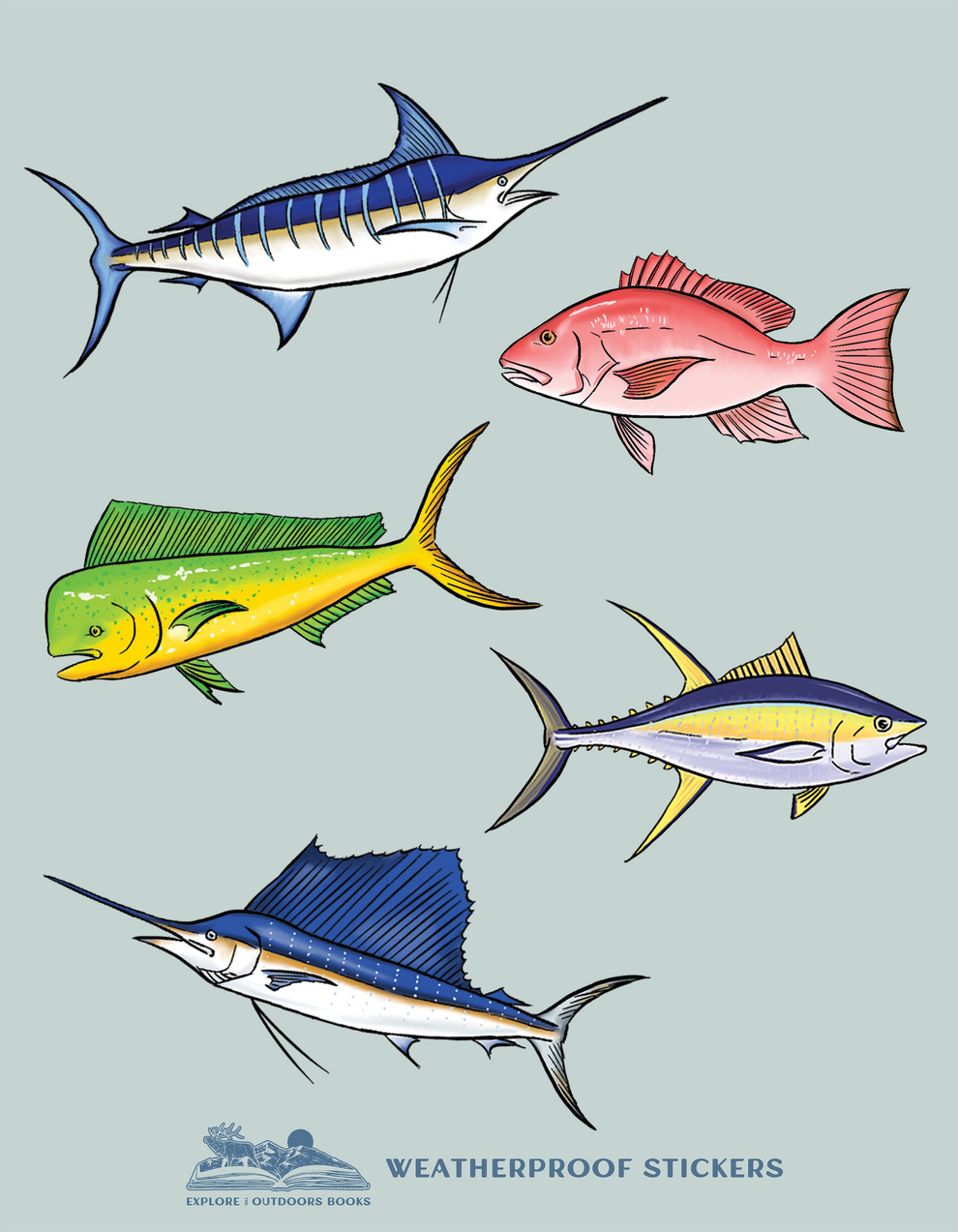 Saltwater Weatherproof Sticker Sheet – Explore The Outdoors Books